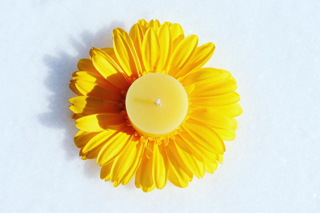 Tealight (6 pack) by Lucky Clover Candles